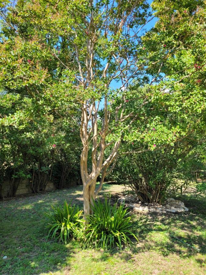 Au Bord De L'Alzon Apartman Uzès Kültér fotó